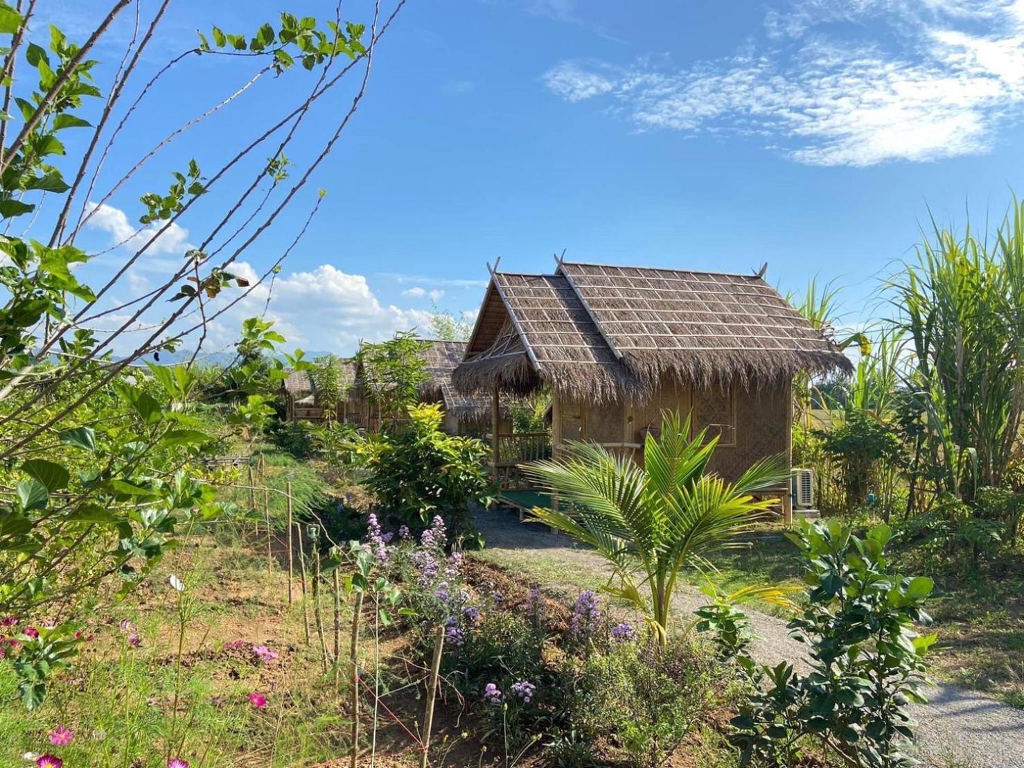 บ้านสวนกางโต้ง Ban Suan Kang Tong Chom Thong Exterior photo