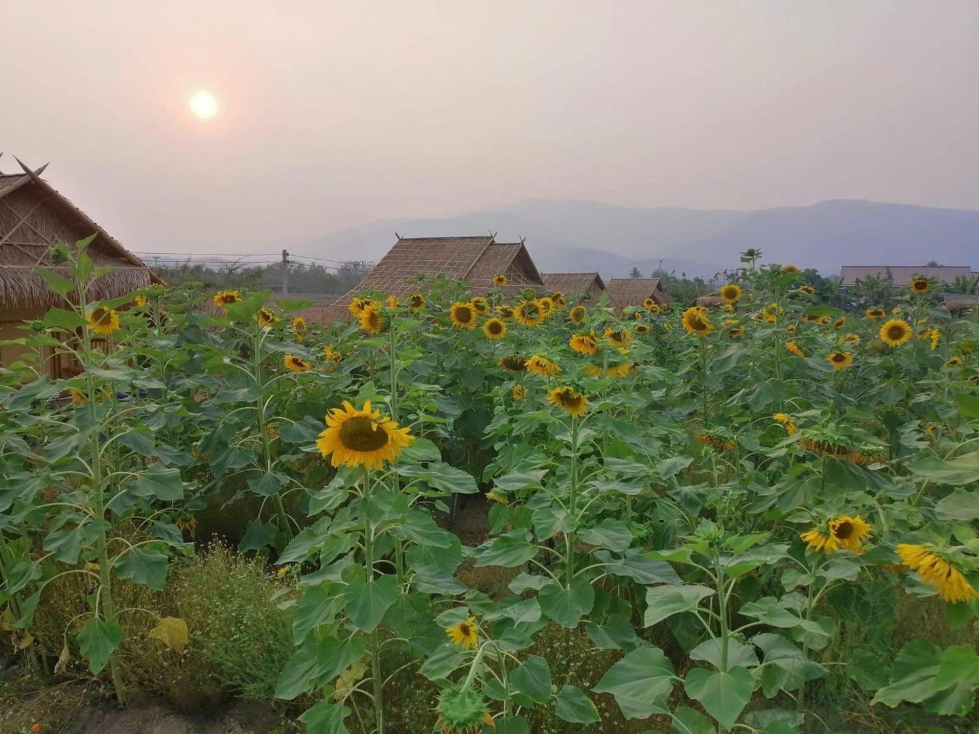 บ้านสวนกางโต้ง Ban Suan Kang Tong Chom Thong Exterior photo